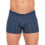 Boxershorts Verschiedene Mini-Streifen 228