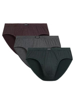 Atlantic Herren Slipy Classic – Bequeme Baumwollunterwäsche, Atmungsaktiv, 3er Pack, Farben: Grau, Grün, Rot, Herbst/Winter 2025 Kollektion