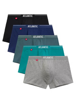 grau || grün || schwarz || niebieski