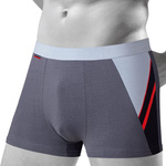 Herren-Boxershorts aus Baumwolle