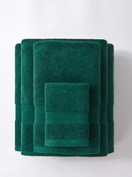 S HANDTUCH 100*150 LEO FLASCHE