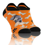 Orangefarbener Hund