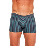 Boxershorts Verschiedene Mini-Streifen 228