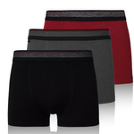 Boxershorts MBX550 Mix