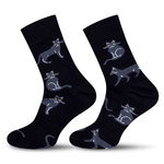 Socken Avangard 0125 Katzen