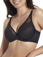 Soft-BH Maribel Schwarz