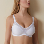 Soft-BH Estela Weiß